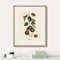картина: juicy fruit lithography №6, 1870г. в Кемерово