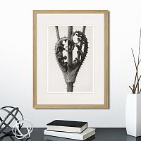 картина: botanical philosophy of forms №1, 1912г. в Кемерово