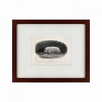 картина: a prize boar, 1867 в Кемерово