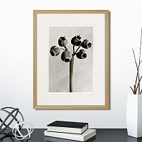 картина: botanical philosophy of forms №4, 1912г. в Кемерово