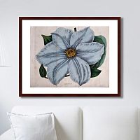 картина: exotic plants of the world №13, 1815г. в Кемерово