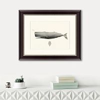 картина: sperm whale (physeter macrocephalus), 1862 в Кемерово