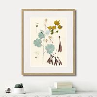 картина: fragmenta botanica №12, 1809г. в Кемерово