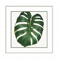 постер monstera зеленый в Кемерово