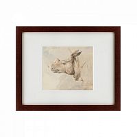 картина: the head of a rhinoceros, 1889 в Кемерово