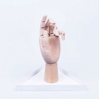 органайзер для украшений the hand белый в Кемерово