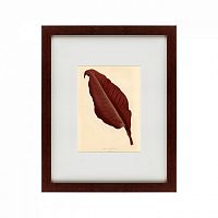 картина: the dark red leaf, 1881 в Кемерово
