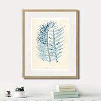 картина: fragmenta botanica №8, 1809г. в Кемерово