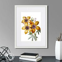картина: caribian flora yellow hibiscus, 1740г. в Кемерово