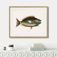 картина: marine life №5, 1725г. в Кемерово