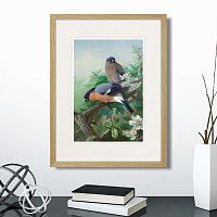 картина: bullfinches, 1915г. в Кемерово