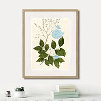 картина: fragmenta botanica №3, 1809г. в Кемерово