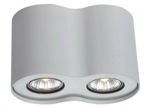 потолочный светильник arte lamp falcon a5633pl-2wh в Кемерово