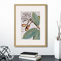 картина: exotic plants of the world №5, 1815 (i) в Кемерово