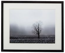 постер с паспарту в раме fog & tree в Кемерово