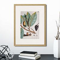 картина: exotic plants of the world №5, 1815 (ii) в Кемерово