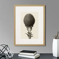 картина: botanical philosophy of forms №6, 1912г. в Кемерово