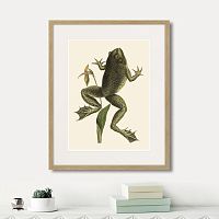 картина: big jumping frog, 1745г. в Кемерово