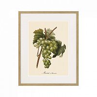 картина juicy fruit lithography №13-1, 1870 г., 42х52 см в Кемерово