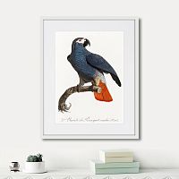 картина: beautiful parrots №5, 1872г. в Кемерово