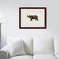картина: rhinoceros ancienne gravure, 1849 в Кемерово