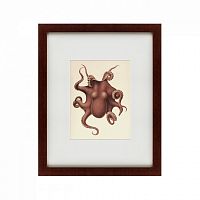картина: pacific octopus, 1731 в Кемерово