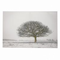 принт wood на подрамнике в Кемерово