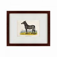 картина: a zebra, 1830 в Кемерово