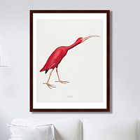 картина: scarlet ibis, 1827г. в Кемерово
