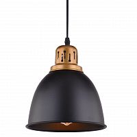 подвесной светильник arte lamp eurica a4245sp-1bk в Кемерово