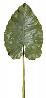 декор giant taro leaf в Кемерово