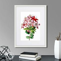 картина: caribian flora red and pink flower, 1740г. в Кемерово