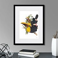 картина: toucans №1, 1849г. в Кемерово