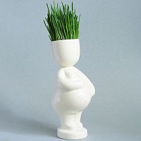 набор для выращивания eco мама в Кемерово