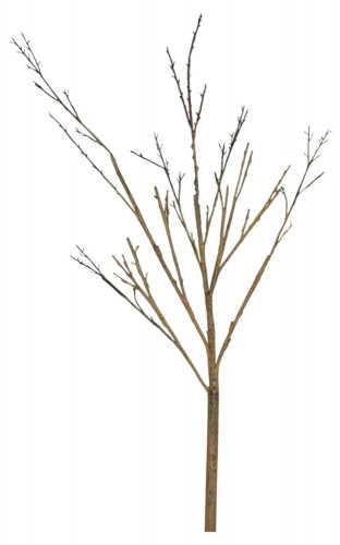 декор twig stem в Кемерово