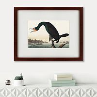 картина: florida cormorant, 1835 в Кемерово
