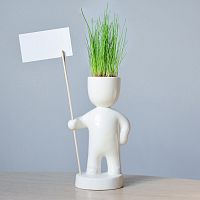 набор для выращивания eco знаменосец в Кемерово