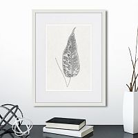 картина: the fern collection №5 в Кемерово