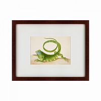 картина: green iguana, 1701 в Кемерово