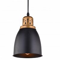 подвесной светильник arte lamp eurica a4248sp-1bk в Кемерово