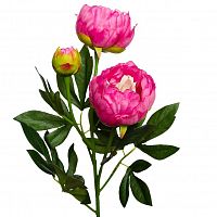 пион розовый 64 см (24) в Кемерово