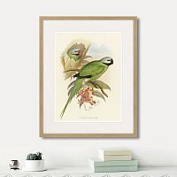 картина: love parrots ii, 1851г. в Кемерово