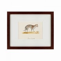 картина: an ocelot, 1801 в Кемерово