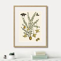 картина: juicy fruit lithography №1, 1870г. в Кемерово