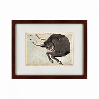 картина: signs of zodiac taurus, 1825 в Кемерово