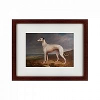 картина: portrait of a greyhound, 1744 в Кемерово