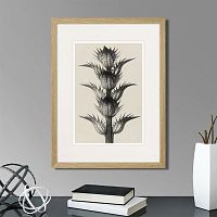 картина: botanical philosophy of forms №7, 1912г. в Кемерово