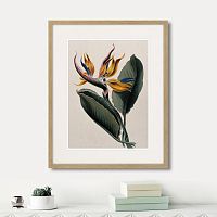 картина: exotic plants of the world №4, 1815г. в Кемерово