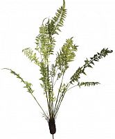 декор fern plant в Кемерово