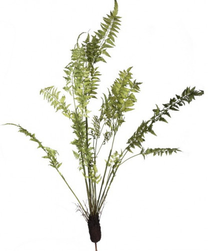 декор fern plant в Кемерово